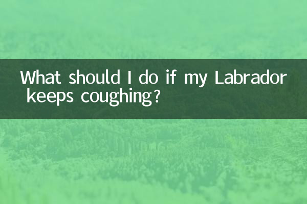 What should I do if my Labrador keeps coughing?