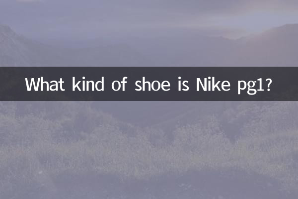 Was für ein Schuh ist Nike pg1?
