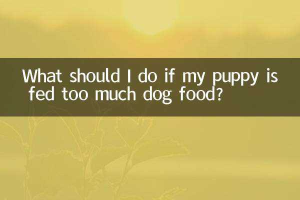 ¿Qué debo hacer si mi cachorro recibe demasiada comida para perros?