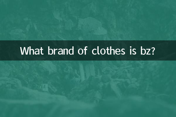 কোন ব্র্যান্ডের কাপড় বিজেড?