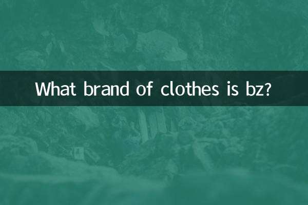 কোন ব্র্যান্ডের কাপড় বিজেড?