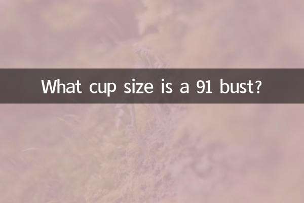 91的胸围是什么罩杯