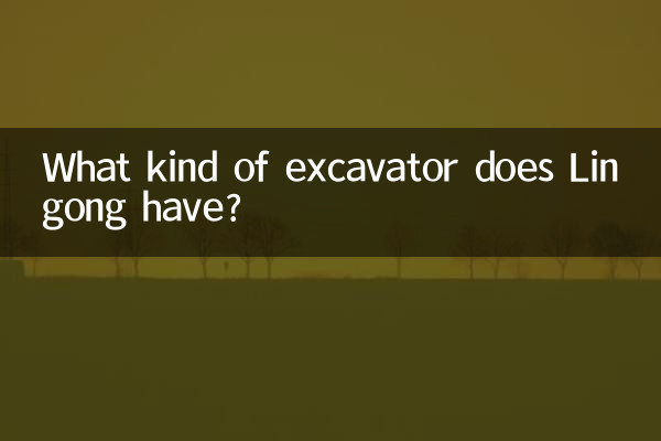 临工什么挖掘机