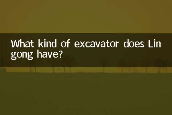 临工什么挖掘机