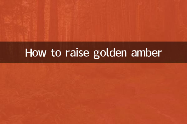 Wie man goldenen Bernstein züchtet