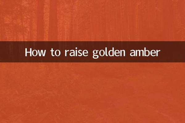 گولڈن امبر کو کیسے اٹھایا جائے