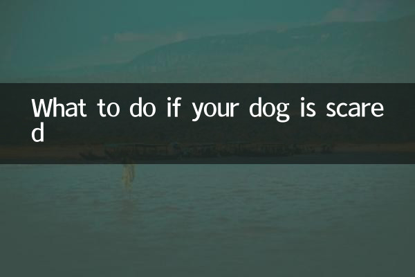 O que fazer se seu cachorro estiver com medo
