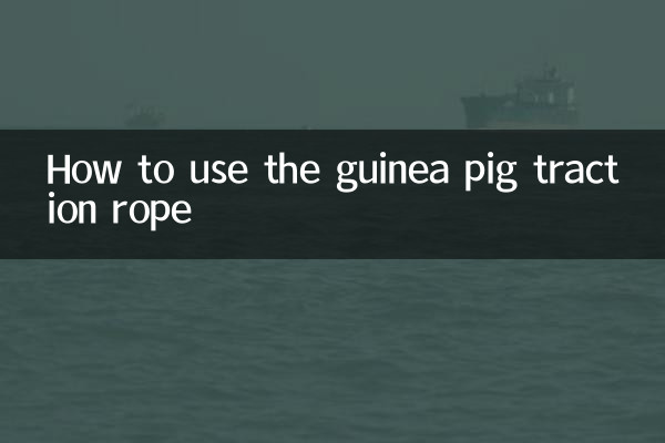 গিনিপিগ ট্র্যাকশন দড়ি কীভাবে ব্যবহার করবেন