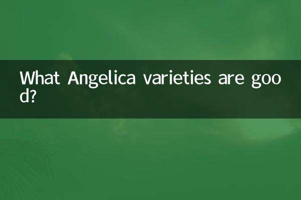 어떤 안젤리카 품종이 좋은가요?