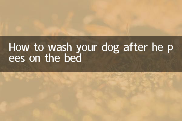 Как мыть собаку после того, как она пописала на кровать