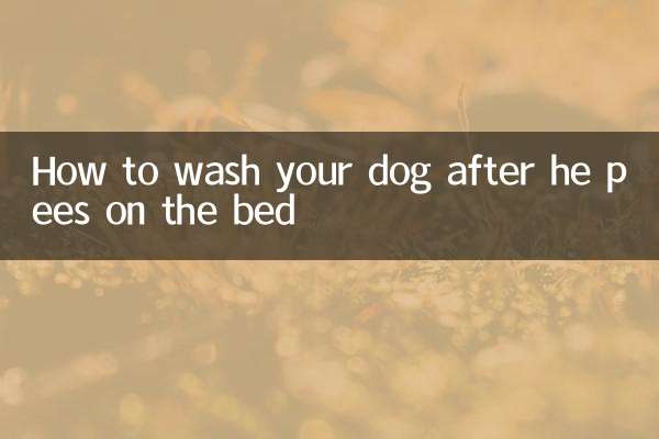 Как мыть собаку после того, как она пописала на кровать