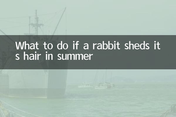 兔子夏天脫毛怎麼辦