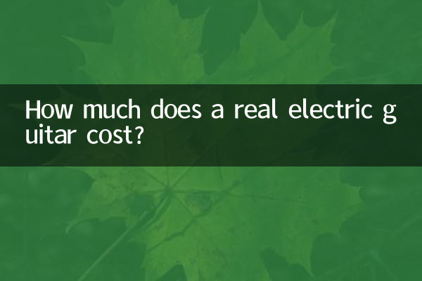 একটি প্রকৃত বৈদ্যুতিক গিটারের দাম কত?