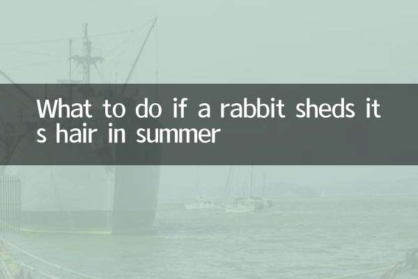 兔子夏天脫毛怎麼辦