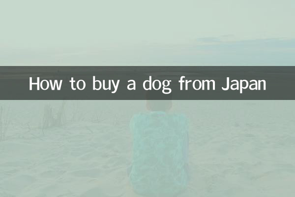 Como comprar um cachorro do Japão