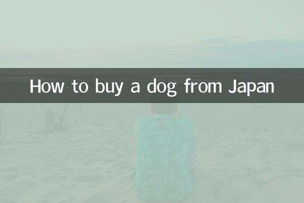 جاپان سے کتا کیسے خریدیں