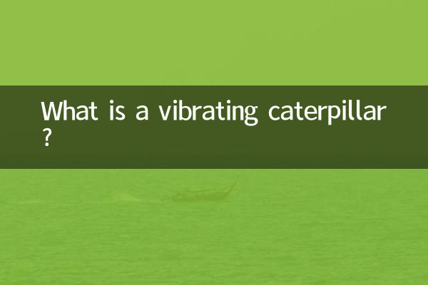 진동 애벌레란 무엇입니까?