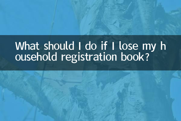 ماذا يجب أن أفعل إذا فقدت دفتر قيد الأسرة الخاص بي؟