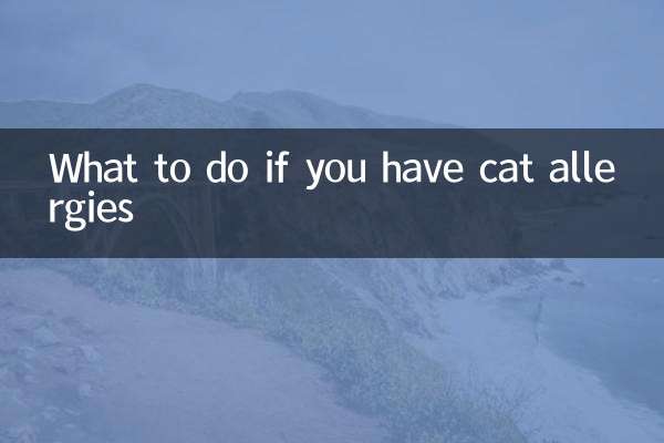 Qué hacer si tienes alergia a los gatos