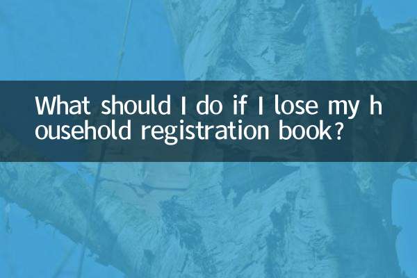 ماذا يجب أن أفعل إذا فقدت دفتر قيد الأسرة الخاص بي؟