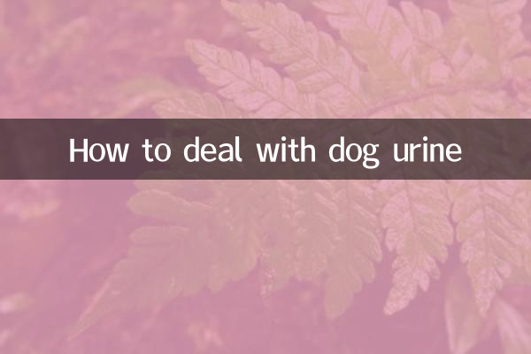 कुत्ते के मूत्र से कैसे निपटें