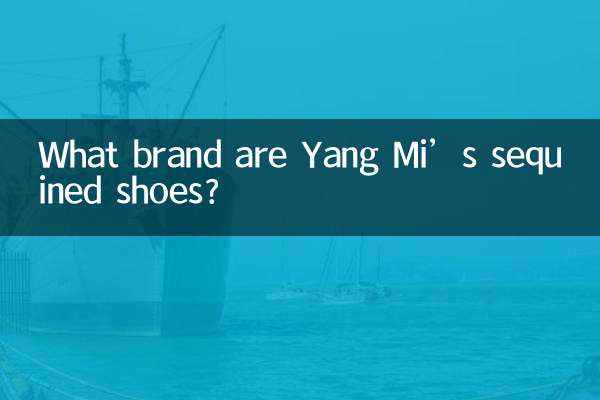 楊冪亮片鞋是什麼牌子