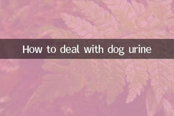 कुत्ते के मूत्र से कैसे निपटें