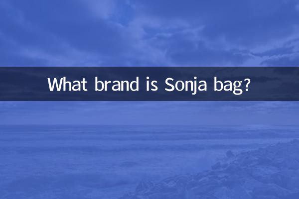 کیف سونجا چه مارکی است؟