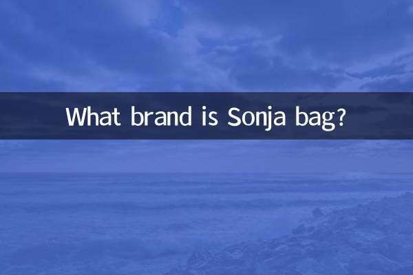 کیف سونجا چه مارکی است؟