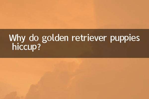 Why do golden retriever puppies hiccup?