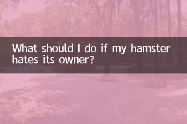 What should I do if my hamster hates its owner?