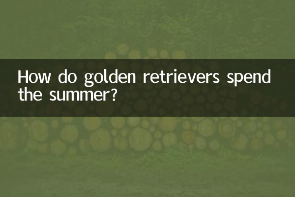 How do golden retrievers spend the summer?