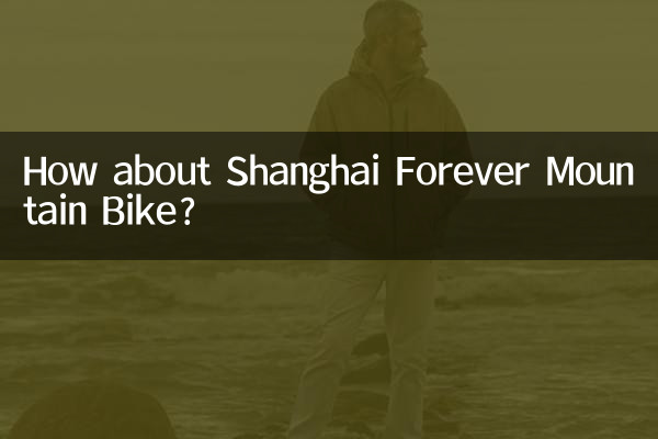 How about Shanghai Forever Mountain Bike?