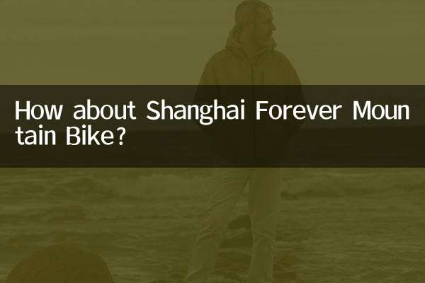 How about Shanghai Forever Mountain Bike?
