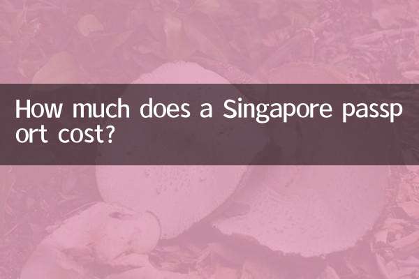 How much does a Singapore passport cost?