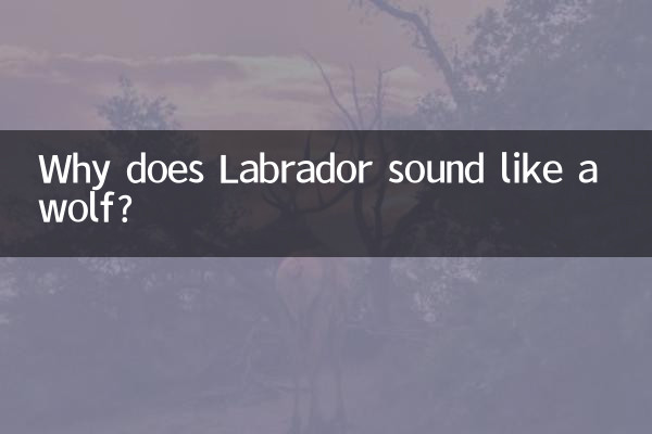 なぜラブラドールはオオカミのように聞こえるのですか?