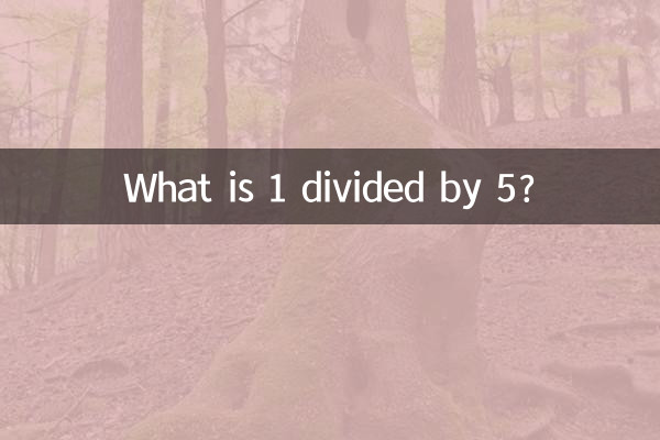 Was ist 1 geteilt durch 5?