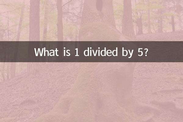 Was ist 1 geteilt durch 5?
