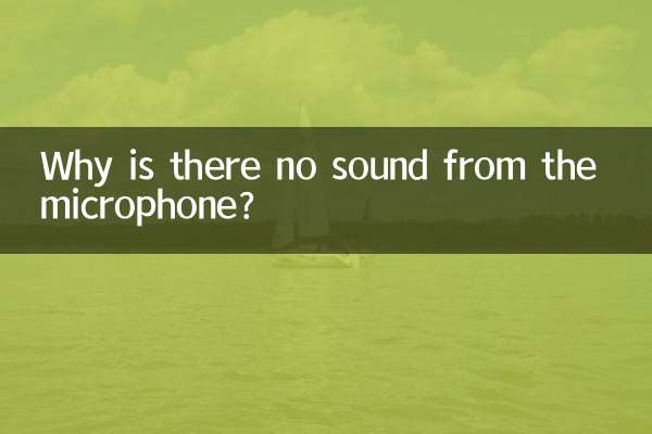 Por que não há som no microfone?