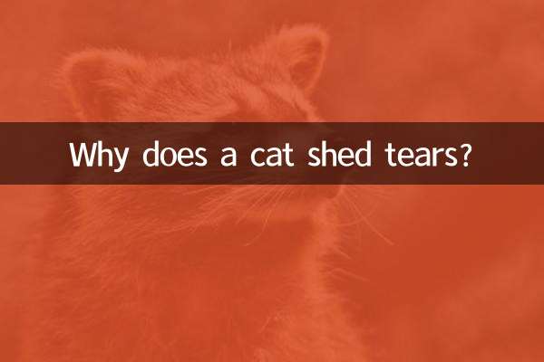 ایک بلی کے آنسو کیوں بہاتے ہیں؟