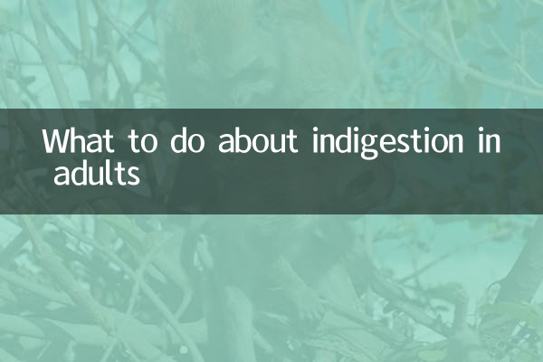 大人の消化不良にはどうすればよいですか