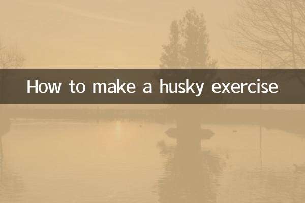 怎麼讓哈士奇運動