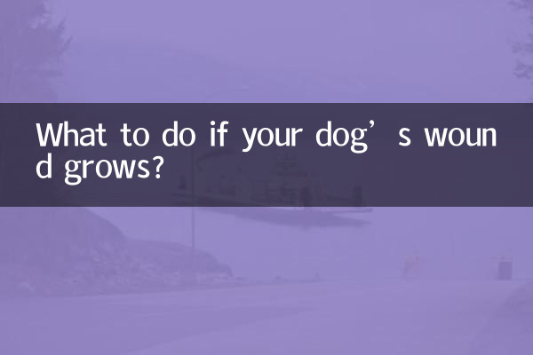 Что делать, если рана у собаки заросла?
