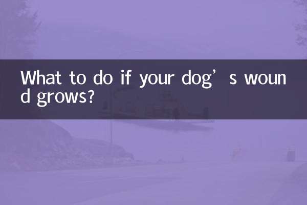 O que fazer se a ferida do seu cachorro crescer?