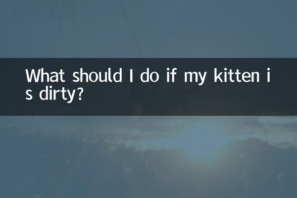 子猫が汚れていたらどうすればいいですか?
