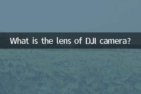 DJIカメラのレンズは何ですか?
