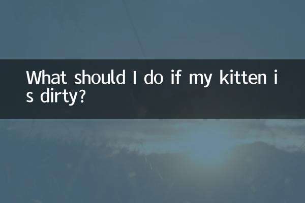 子猫が汚れていたらどうすればいいですか？