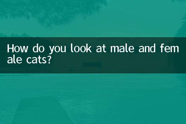 आप नर और मादा बिल्लियों को कैसे देखते हैं?