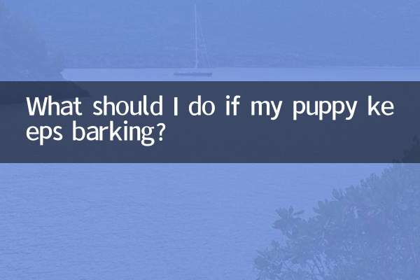 ¿Qué debo hacer si mi cachorro sigue ladrando?