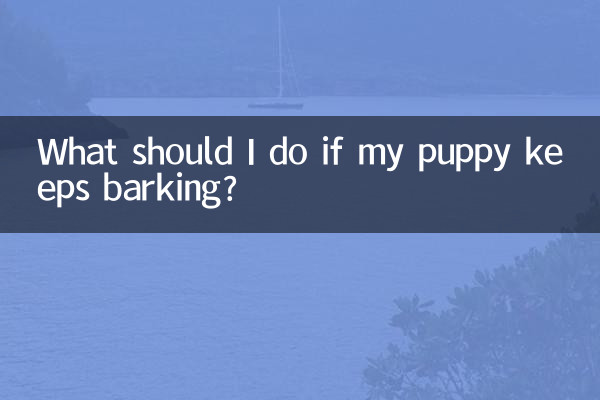 小狗一直叫怎么办